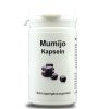 Mumijo - Мумио - поддържа имунитета