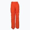 Детски панталони за сноуборд Quiksilver Estate orange EQBTP03033