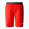 Мъжки къси панталони за трекинг The North Face AO Woven red NF0A5IMM15Q1