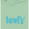 Худи с лого Levis