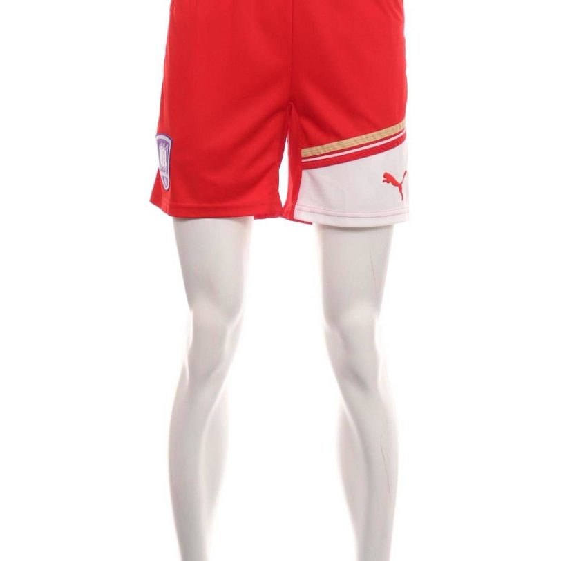 Спортни къси панталони PUMA