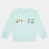 Суитшърт Guess за Момчета цена