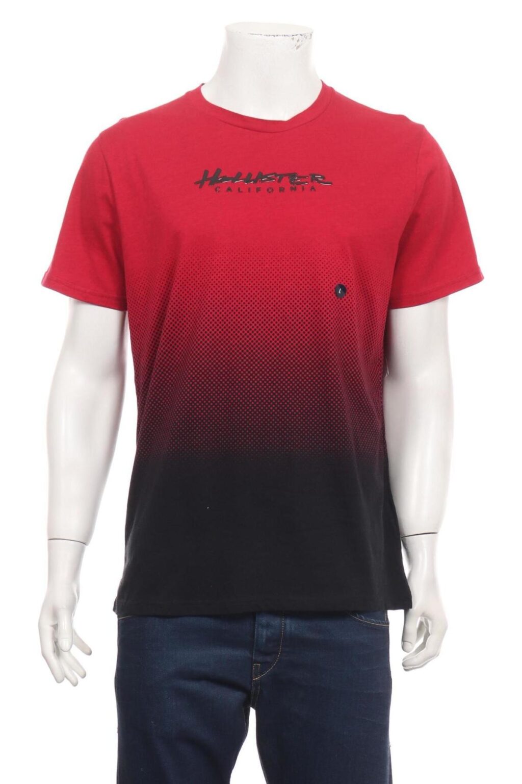 Тениска HOLLISTER