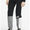 Спортен панталон Essentials с лого Puma