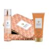 AQUA DI SORRENTO POSITANO Подаръчен комплект парфюмна вода 245 мл + душ-гел 200мл в метална кутия цена