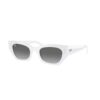 Ray-Ban Унисекс слънчеви очила Cat-Eye