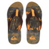 Quiksilver Джапанки Molokai Layback AQYL101339 Зелен за Мъже цена