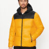 4F Зимно яке 4FAW23TDJAM243 Оранжев Regular Fit за Мъже цена