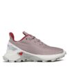 Salomon Маратонки за бягане Alphacross Blast J 471184 09 V0 Виолетов за Жени цена