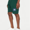 The North Face Спортни шорти Nse Box NF0A8C1J Зелен Regular Fit за Мъже цена