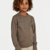 Calvin Klein Jeans Суитшърт Terry Graphic Cn IB0IB02212 Сив Regular Fit за Момчета цена