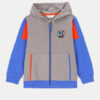Coccodrillo Суитшърт ZC4132602FBK Цветен Regular Fit за Момчета цена