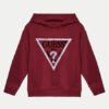 Суитшърт Guess за Момчета цена