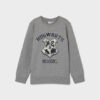 NAME IT Суитшърт HARRY POTTER 13210593 Сив Regular Fit за Момчета цена