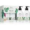Aery Botanical Fig Leaf подаръчен комплект