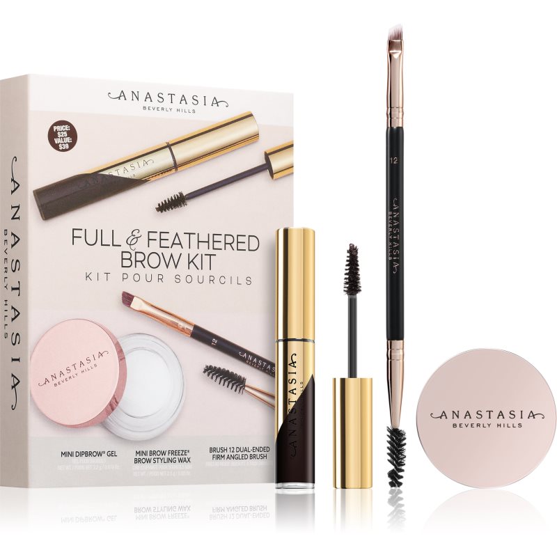 Anastasia Beverly Hills Full & Feathered Brow Kit Mini комплект за вежди цвят Ebony