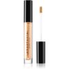Anastasia Beverly Hills Lip Gloss блясък за устни цвят Freya 4
