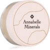 Annabelle Minerals Coverage Mineral Foundation минерална пудра за перфектен външен вид цвят Natural Fairest 4 гр.