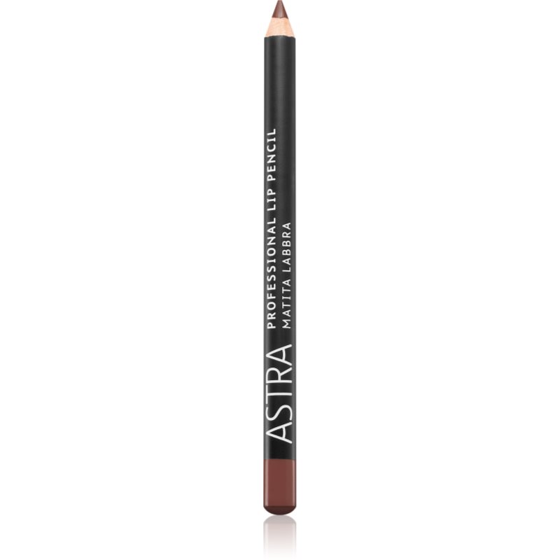 Astra Make-up Professional молив-контур за устни цвят 41 Wood 1