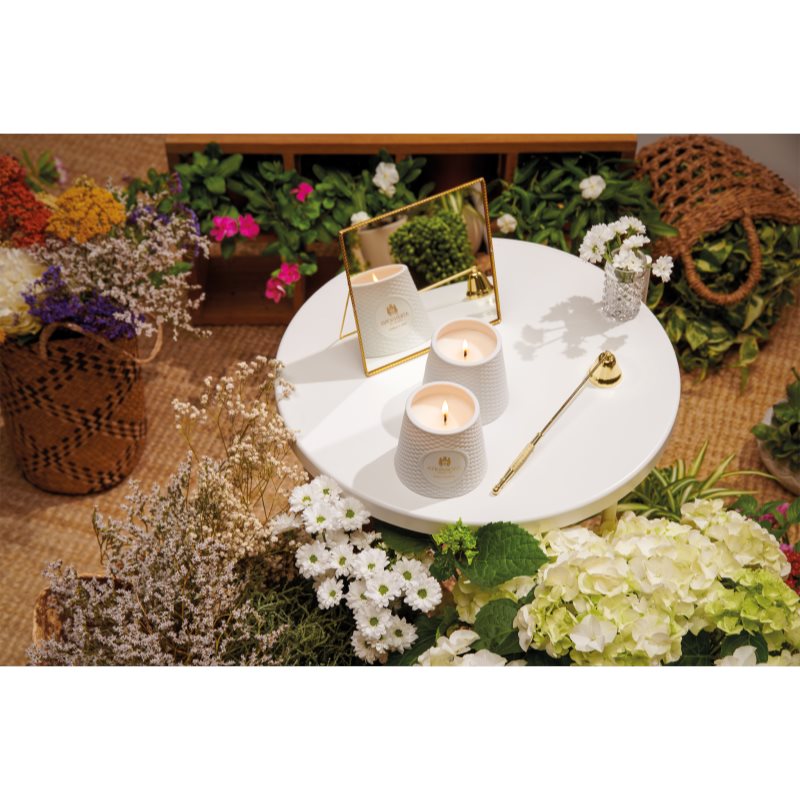 Atkinsons Soho Gardens ароматна свещ 250 гр. на ниска цена
