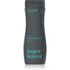Attitude Super Leaves Scalp Care Black Willow & Aspen душ гел и шампоан 2 в 1 за мъже 473 мл.