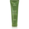 Aveda Be Curly Advanced™ Conditioner хидратиращ балсам за къдрава коса 250 мл.