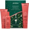 Aveda Nutriplenish™ Essentials Set подаръчен комплект за хидратация и блясък