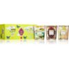 Baobab Collection My First Baobab Green подаръчен комплект 1 бр.