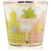 Baobab Collection My First Baobab Miami ароматна свещ 8 см
