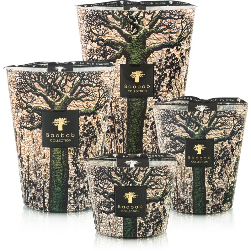Baobab Collection Sacred Trees Kani ароматна свещ 10 см на ниска цена