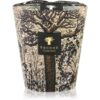Baobab Collection Sacred Trees Morondo ароматна свещ 16 см