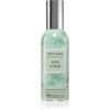 Bath & Body Works Aloe & Palm cпрей за дома 42