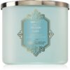 Bath & Body Works Frozen Lake ароматна свещ 411 гр.