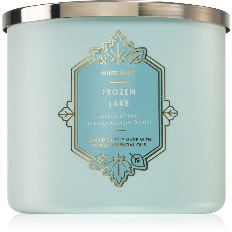 Bath & Body Works Frozen Lake ароматна свещ 411 гр.