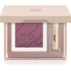 BioNike Color Silky Touch сенки за очи със сатенен ефект с апликатор 420 Amethyste 3 гр.