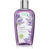 Bohemia Gifts & Cosmetics Bohemia Herbs Lavender шампоан за коса 250 мл.