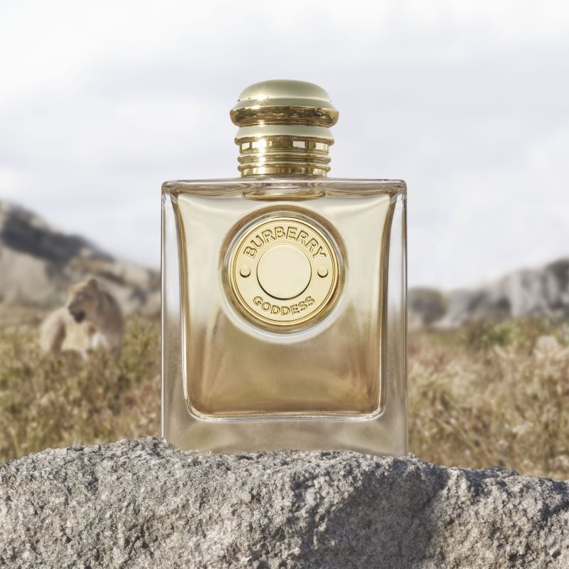 Burberry Goddess Goddes подаръчен комплект за жени на ниска цена