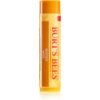 Burt’s Bees Lip Care балсам за устни с мед (with Honey & Vitamin E) 4