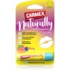 Carmex Berry хидратиращ балсам за устни в тубичка 4.25 гр.