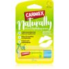 Carmex Pear хидратиращ балсам за устни в тубичка 4.25 гр.
