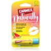 Carmex Watermelon хидратиращ балсам за устни в тубичка 4.25 гр.