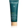 Caudalie Vinergetic C+ детоксикираща маска 75 мл.