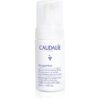 Caudalie Vinoperfect озаряващ пилинг s AHA 100 мл.