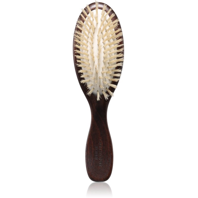 Christophe Robin Travel Hairbrush дървена четка за коса с косми от глиган 1 бр.