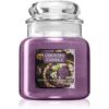 Country Candle Coconut & Blueberry Tart ароматна свещ 453 гр.