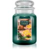 Country Candle Winter Spice ароматна свещ 680 гр.
