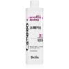 Delia Cosmetics Cameleo Smoothing & Shining изглаждащ шампоан за непокорна коса 400 мл.