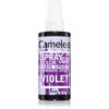 Delia Cosmetics Cameleo Spray & Go тониращ спрей за коса цвят Violet 150 мл.