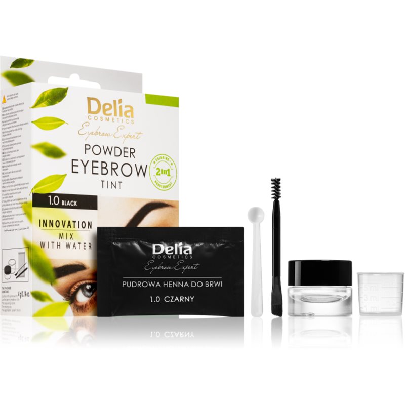 Delia Cosmetics Eyebrow Expert тонираща боя за вежди цвят 1.0 Black 4 гр.