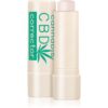 Dermacol Cannabis стик-коректор цвят 01 5